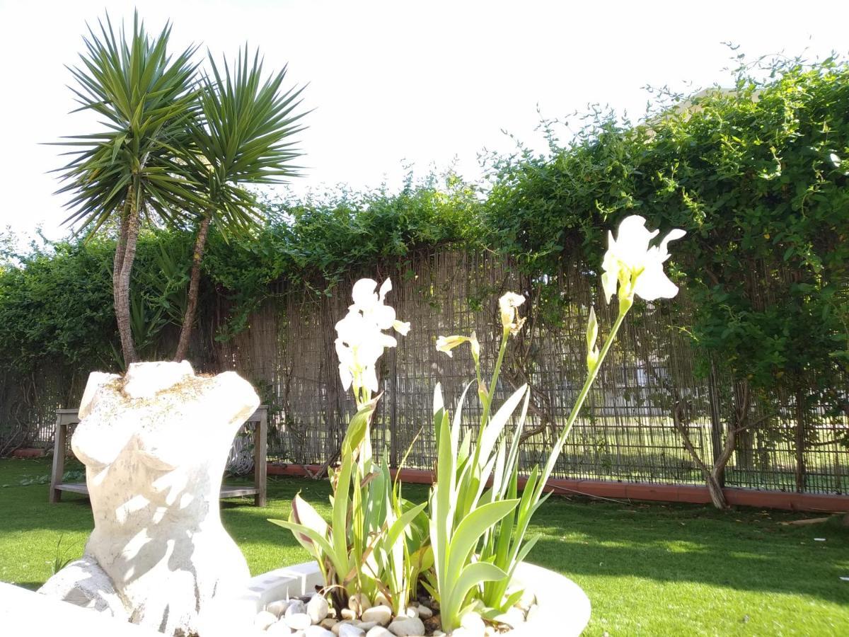 Casa Giardino Lejlighed San Benedetto del Tronto Eksteriør billede
