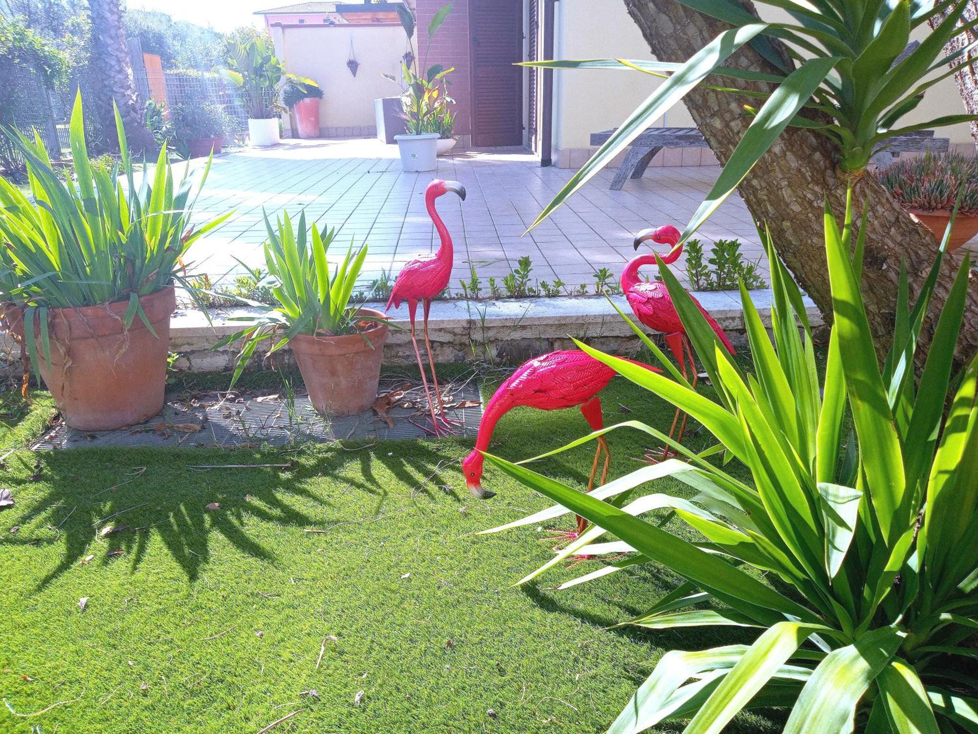Casa Giardino Lejlighed San Benedetto del Tronto Eksteriør billede